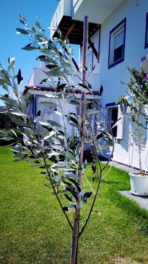 Zephyros Family Apartments Ormos Panagias Exterior foto